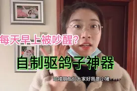 每天早上被吵醒！小朱忍无可忍，自制驱鸽子神器！看看管用吗？视频封面