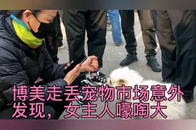 “博美”走丢一个月，宠物市场意外发现，女主人抱着嚎啕大哭视频封面