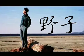 当年燃少，一首高难度的《野子》，把肖战带进了娱乐圈。视频封面