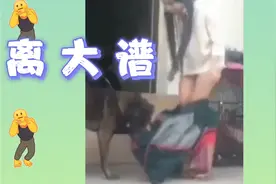 女孩的裙子不慎被小狗扯下！汪汪队立大功视频封面