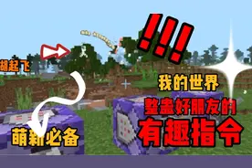 我的世界整人指令，萌新必备！