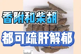 理气药香附和柴胡，都可以疏肝解郁，香附用于疝气痛，柴胡可退热
