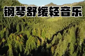 如梦，如梦，残月落花烟重视频封面