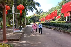 我的母亲是大体老师视频封面