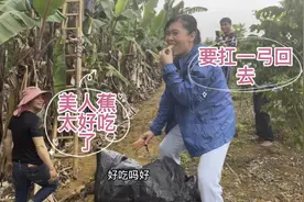 黄姐表妹去老表家砍美人蕉看到熟的马上开吃，像几天没吃过饭一样