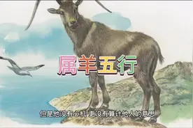 生肖羊五行属性