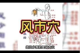 风市穴的定位与作用