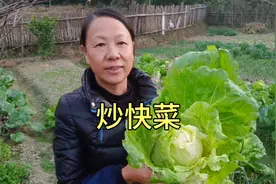 湖南人把快菜这样做法，简单方便还下饭，一大盘不够吃