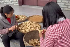 这么好的姜才卖1块钱一斤，拿回家做一坛泡子姜，能吃上整整一年视频封面