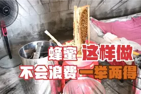 封盖蜡残留的蜂蜜，养蜂人如何不浪费呢？这1招你使用过吗？视频封面