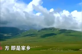 90秒云游新疆的一年四季