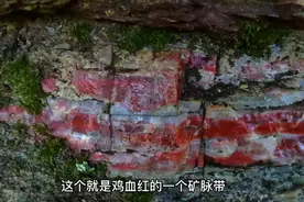 真让人意想不到，秦岭腹地也有这种鸡血红玉石，藏了一大块4000斤