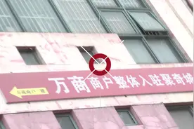 实探沪上知名蟋蟀交易市场：从70岁老人到17岁少年都对“斗蟋蟀”情有独钟图片