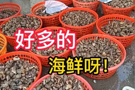 烟台九田海鲜市场，不到200元买一堆海鲜，都是新鲜的鱼虾视频封面