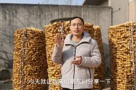 一斤玉米粒1.3元，一斤玉米棒卖到多少钱才不吃亏，咋计算？视频封面