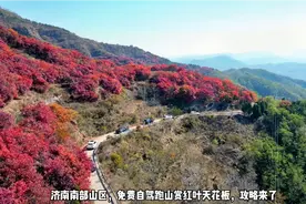 济南南部山区，免费跑山赏红叶精品路线，加入我们一起赏红叶美景视频封面