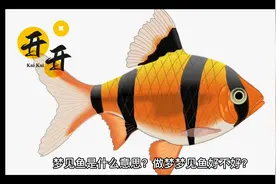 周公解梦之梦见鱼（一）视频封面