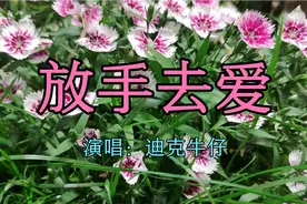 迪克牛仔一首《放手去爱》放手去爱不要逃，能痛痛快快一场就好