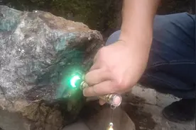 今天去收了一个两百多斤的雅安绿大家帮我参考一下可以吗？