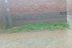 人人在讲三观，你知道三观都指的什么吗，本视频带你真正了解三观