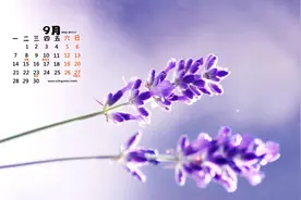 不同的出生月份的我们是什么样的？9月出生的人最有灵性。视频封面