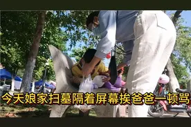 越南娘家过清明还有忌讳？女儿视频回家不知所措被爸爸训，委屈啊视频封面