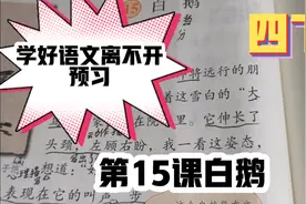 预习四下语文书第15课《白鹅》视频封面