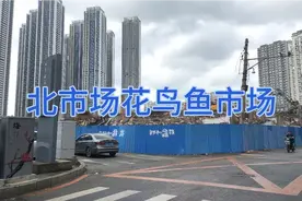 沈阳北市场花鸟鱼市场拆迁进度视频封面