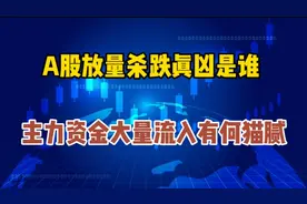 A股放量杀跌真凶是谁？主力资金大量流入超100亿有何猫腻视频封面
