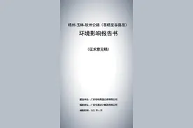 苍梧至容县高速公路 容县段出入口→浪水镇扶冲↹长河视频封面