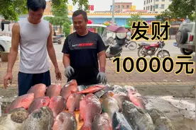 奋战三天的总鱼获，重量接近200斤左右，价值高达10000元视频封面