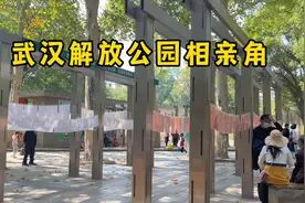 武汉解放公园相亲角，我震惊了，拍摄于今天下午12点，武汉江岸区