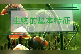 初一生物  生物的基本特征知识点   PPT课件