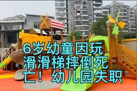 痛心！安徽6岁幼童玩滑滑梯摔倒死亡！幼儿园有不可推卸责任？视频封面