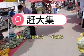 天津市静海区大丰堆镇赶大集视频封面