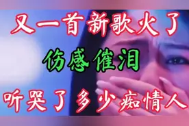 超火新歌推荐《掌心之中》魏佳艺，歌词感人，陪你到老你侬我侬