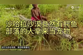沙哈拉沙漠居然有鳄鱼，部落的人却拿来当宠物