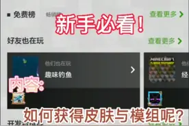 mc，我的世界手机版新手教学第3期，如何获得皮肤与模组呢？