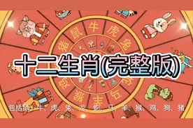 十二生肖(鼠、牛、虎、兔、龙、蛇、马、羊、猴、鸡、狗、猪）
