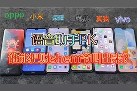 oppo小米荣耀苹果真我vivo 语音助手pk，谁能把财shen爷叫出来呢视频封面