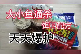 一款全新的饵料配方，大小鱼通杀，天天爆护不是梦，