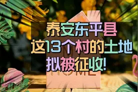 泰安东平这13个村的土地拟被征收！视频封面