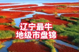 辽宁省最牛的地级市居然是面积最小的盘锦市，你信吗