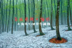 交叉双腿表示没有认真在听