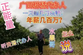 柑橘代办人！一天赚几万？年赚几百万？是真的吗？水果哥怎么说。