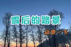 东北大雪高速积雪严重通车很少，非常滑。来东北玩的朋友务必注意视频封面