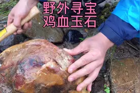 野外寻宝鸡血石，收获了鸡血玉水料，几块水彩石，大家看值钱不？视频封面