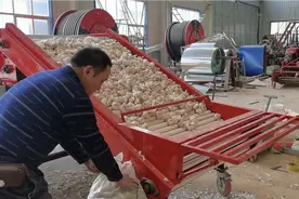 济南庆华蒜头分级机视频封面