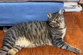 妞：在对自己没有正确认知之前，请不要随便画我的肖像画