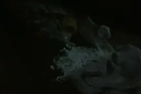 老虎狮子怕热不怕冷，您们见过吗？视频封面